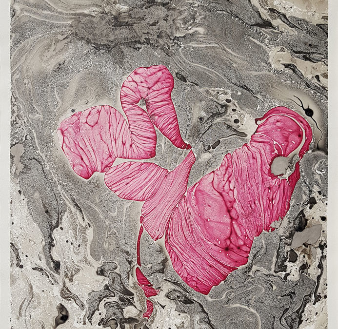 Le papillon rose